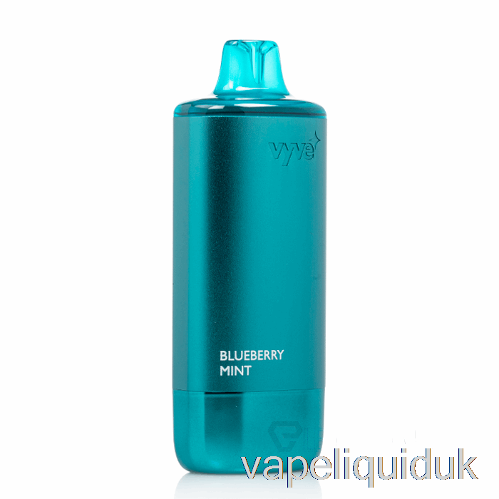 Vyve 10000 Disposable Blueberry Mint Vape Juice